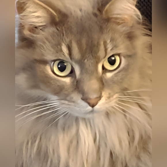 💕💕💕💕💕💕 - Picture 6 of 12